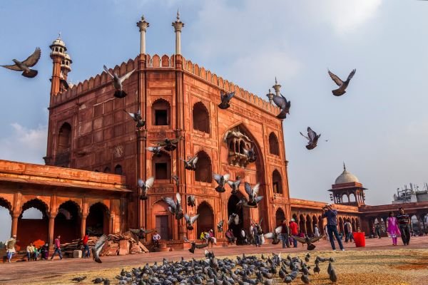 3 Days_dELHI