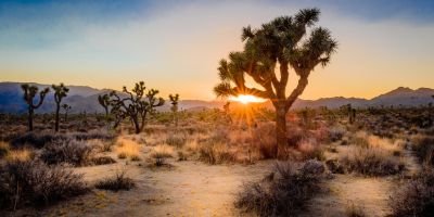 Desert National Park