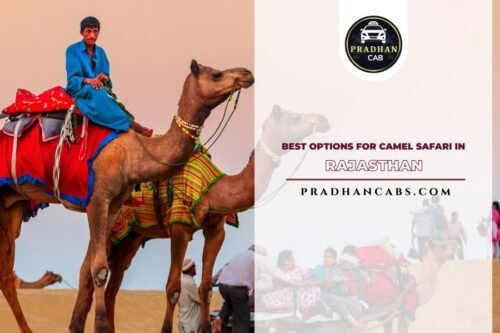 Camel Safari in Rajasthan