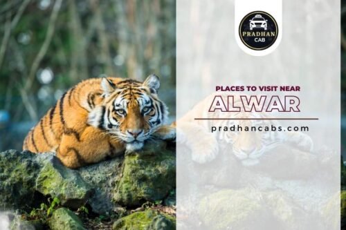 Places To Visit Near Alwar